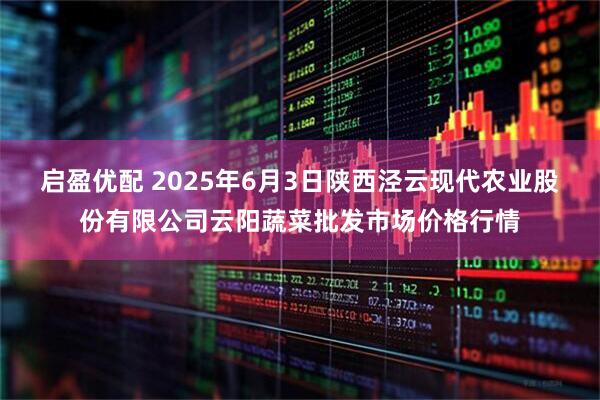 启盈优配 2025年6月3日陕西泾云现代农业股份有限公司云阳蔬菜批发市场价格行情