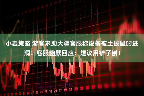 小麦策略 游客求助大疆客服称设备被土拨鼠叼进洞！客服幽默回应：建议用铲子刨！