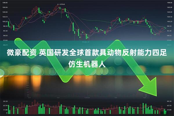 微豪配资 英国研发全球首款具动物反射能力四足仿生机器人