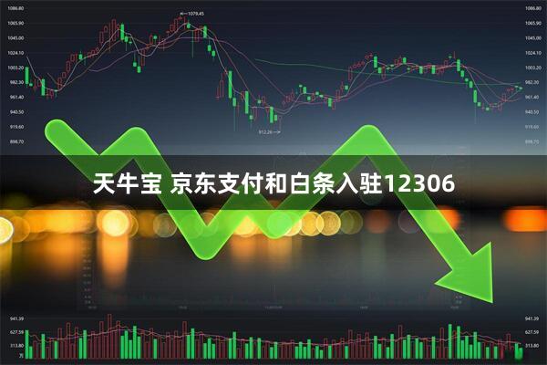 天牛宝 京东支付和白条入驻12306