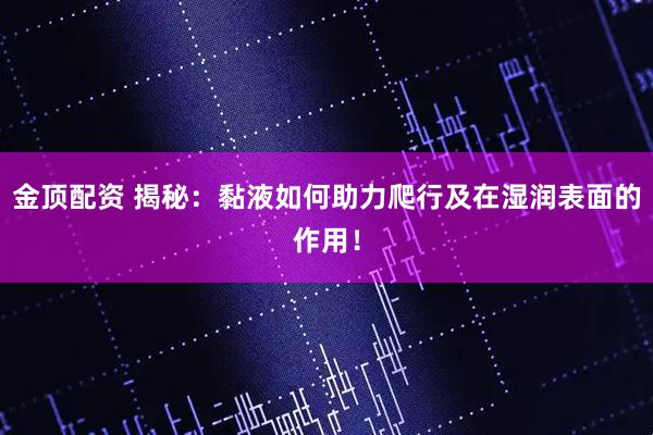 金顶配资 揭秘：黏液如何助力爬行及在湿润表面的作用！